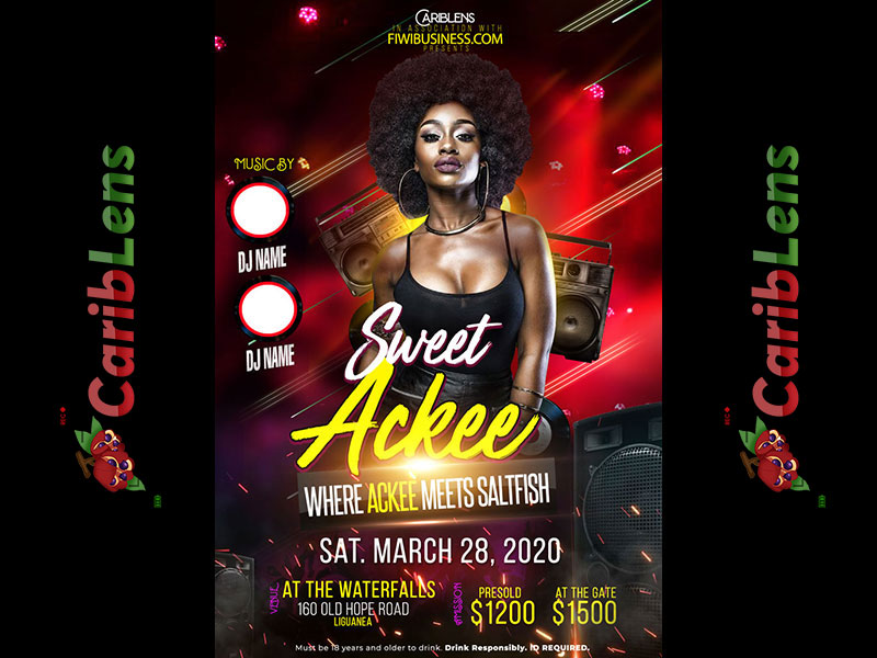 Retro Jamaican Party Flyer with Afro Girl – sweet Ackee Promotion – Free Flyer