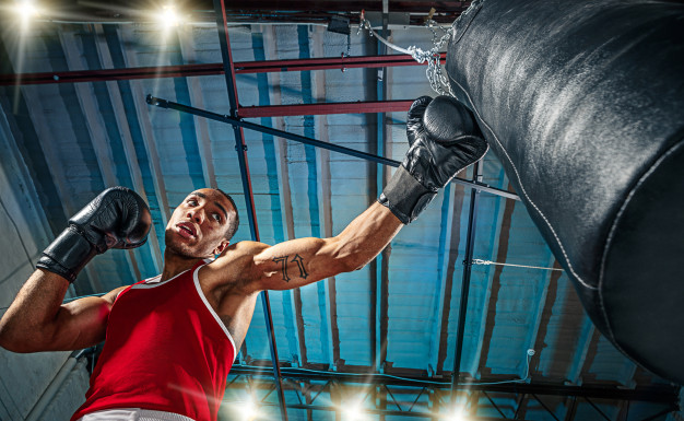 African American black male boxer – Free Photo