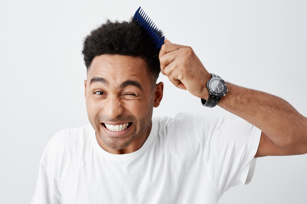 Curly hair problems. close up of handsome young black-skinned american with afro haircut in casual white t shirt combing hair, looking in camera with funny face expression. Free Photo