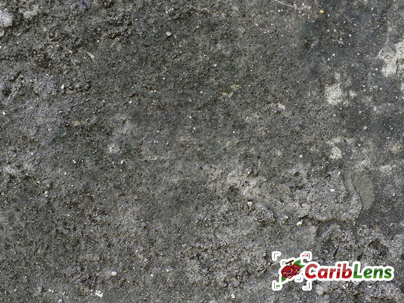 Rough cement or concrete texture