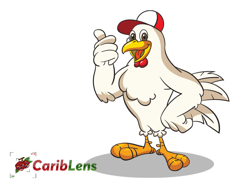 Cartoon chicken giving thumbs up - free illustration