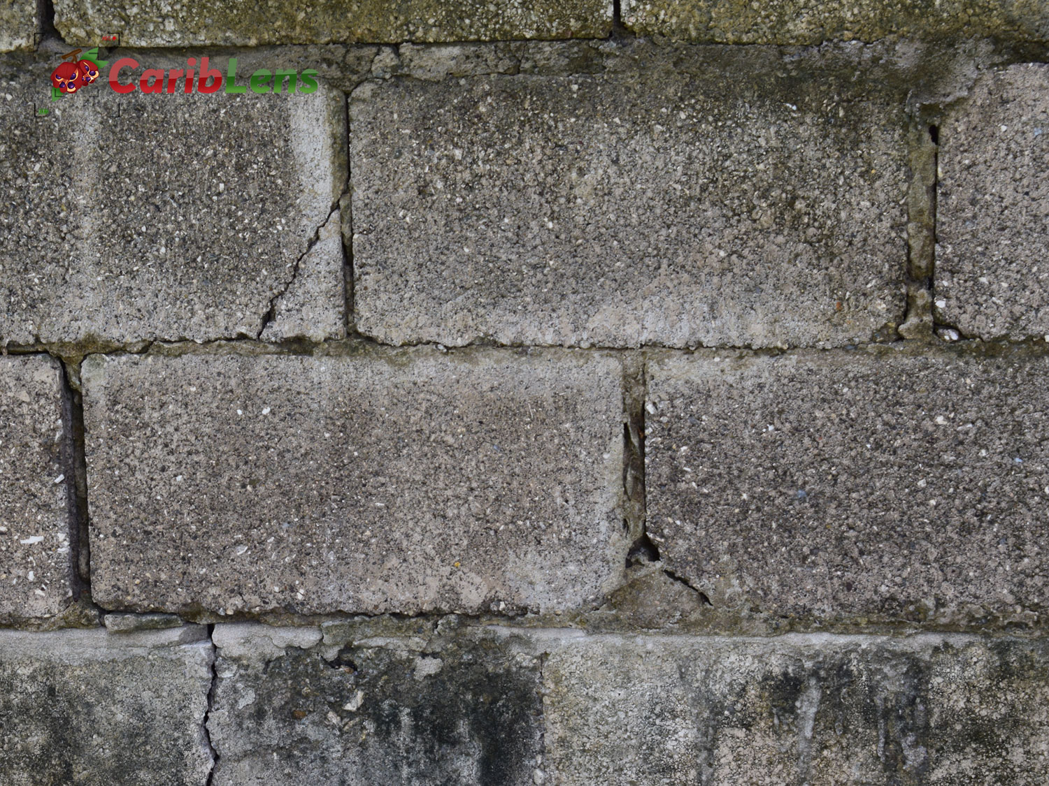 Jamaican Concrete Block Wall Texture