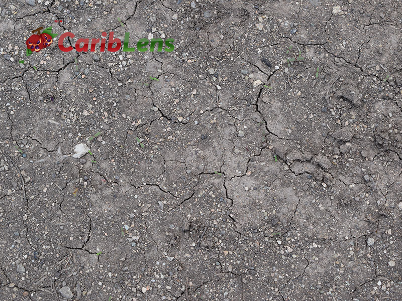 Large Cracks In Soil Is Called
