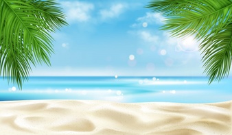 Sea Beach With Palm Tree Leaves Background Summer 33099 1767