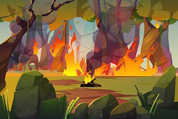 Fire in camping and burning forest illustration Free Vector
