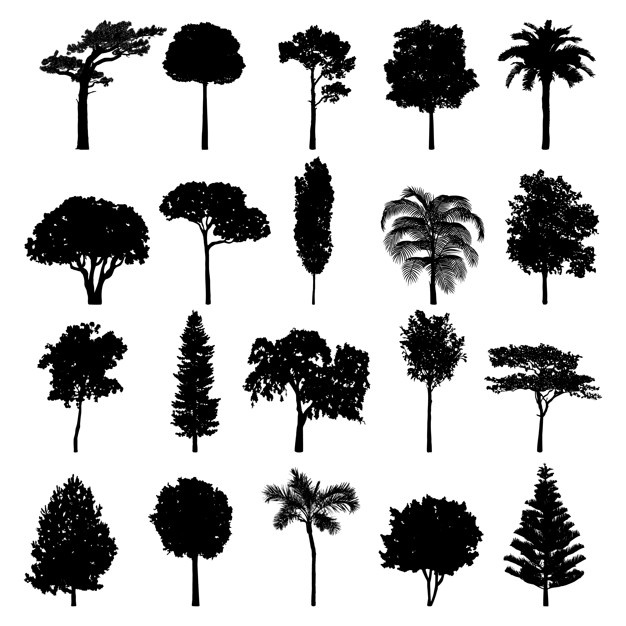 Tree Silhouette Collection 53876 62872