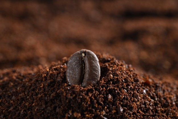 Close-up of a coffee bean Free Photo