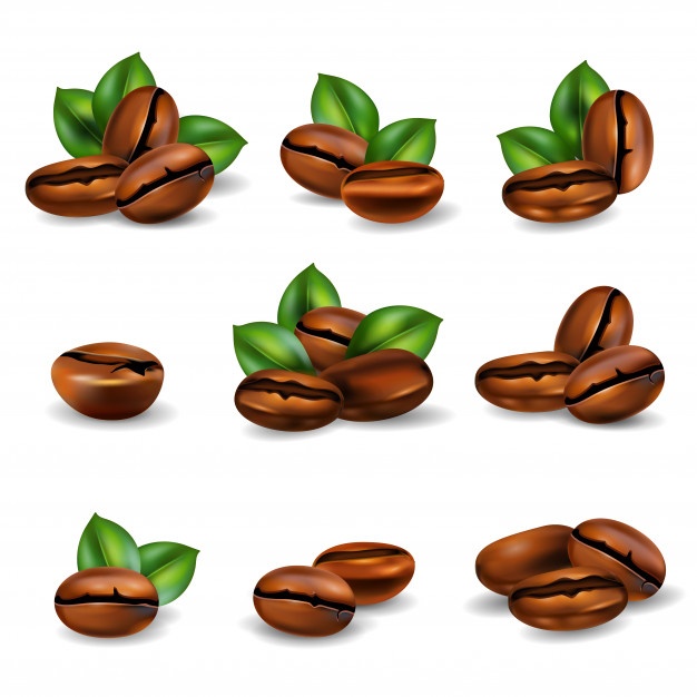 Coffee Beans Realistic Set 1284 19869