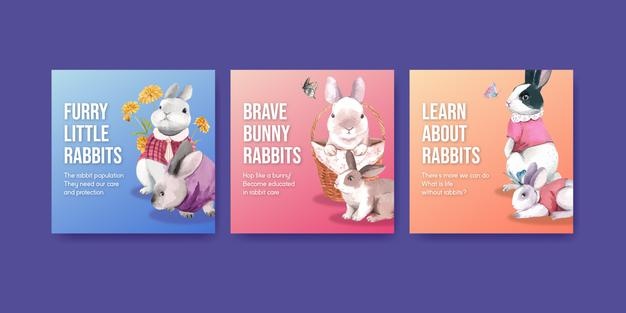 Banner Template With Cute Rabbit Watercolor Style 83728 7840