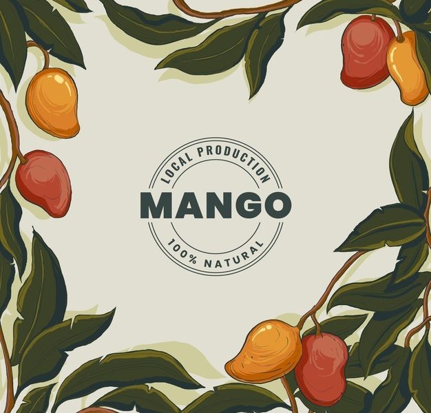 Botanical mango tree illustration Free Vector