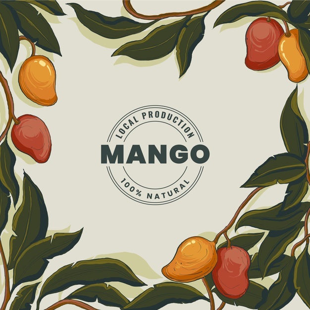 Botanical Mango Tree Illustration 23 2148829977