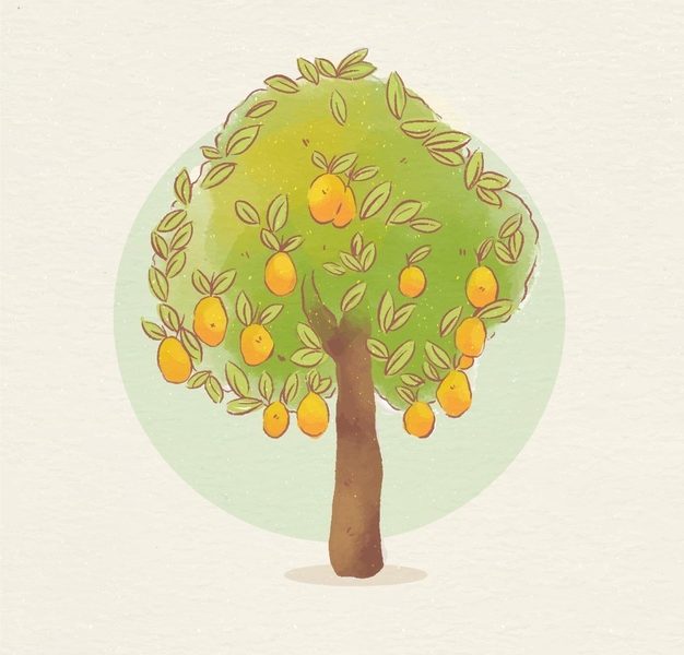 Botanical mango tree with fruits Free Vector