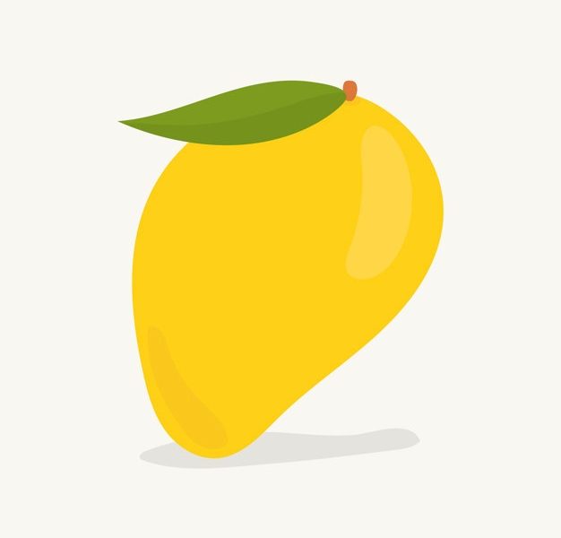 Hand drawn mango fruit illustration Free Vector Hand drawn mango fruit illustration Free Vector