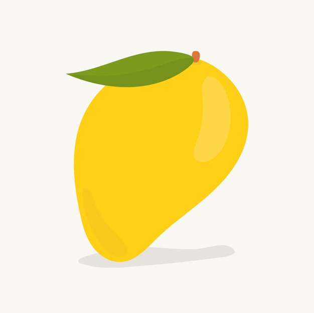Hand Drawn Mango Fruit Illustration 53876 2986