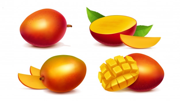 Mango whole and sliced realistic vector Free Vector