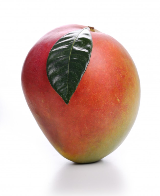 Mango 144627 27543