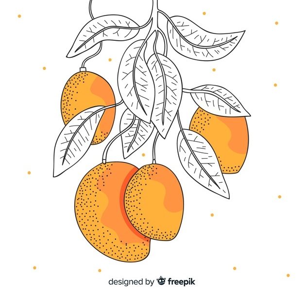 Mangos Free Vector