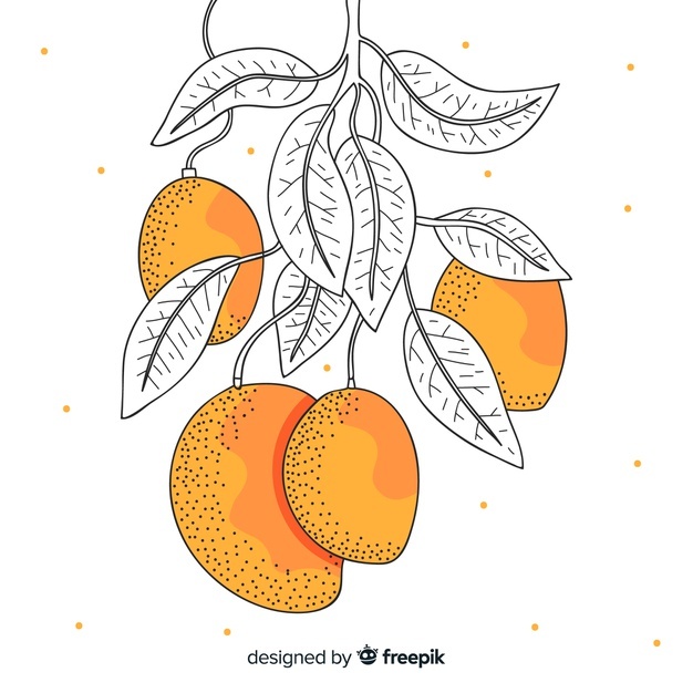 Mangos 23 2148151671