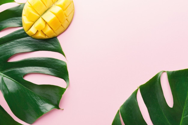 Monstera Green Leaves With Mango Pink 1220 3449