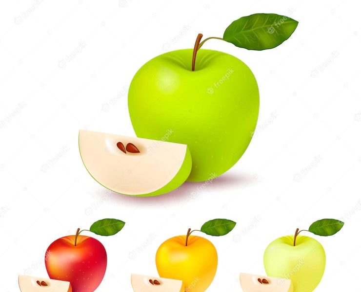 Colorful apples isolated set Free Vector Colorful apples isolated set Free Vector