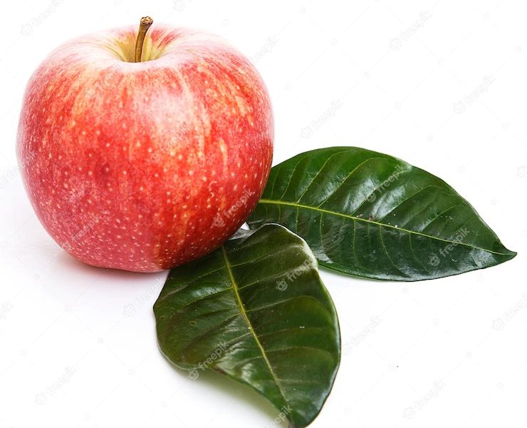 Apples on the table Free Photo Apples on the table Free Photo