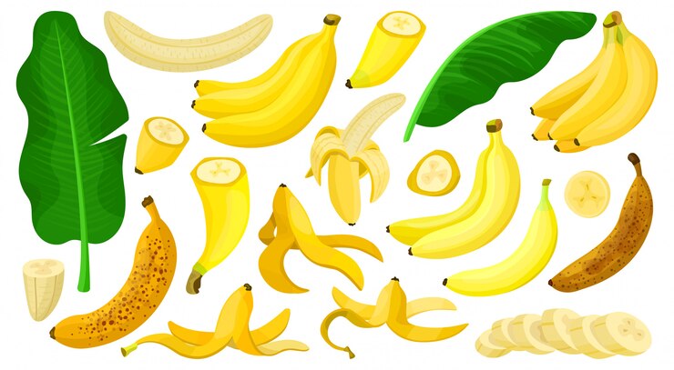 Banana Isolated Cartoon Set Icon Illustration Tropical Fruit Cartoon 158626 541