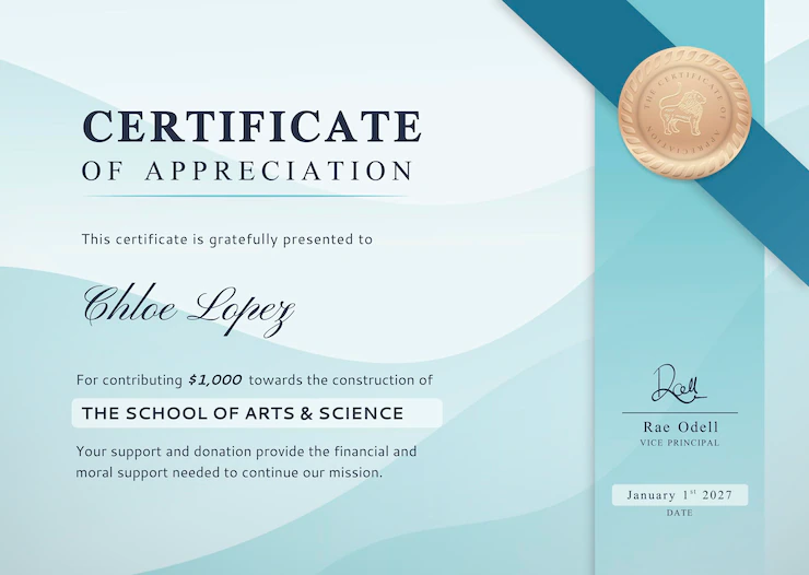 Certificate Appreciation Template Modern Professional Design Vector 53876 156365