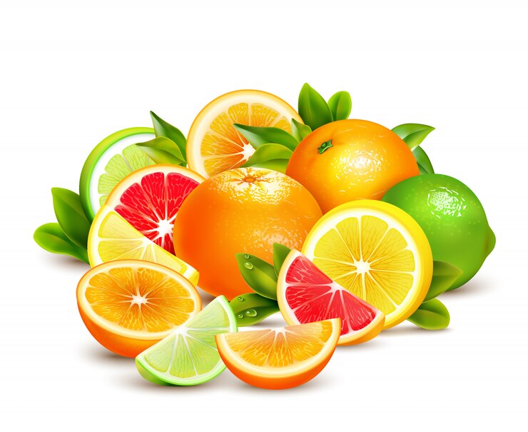 Citrus Fruits Collection Realistic Composition 1284 15784
