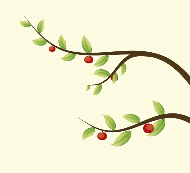 Branches with apples illustration Free Vector