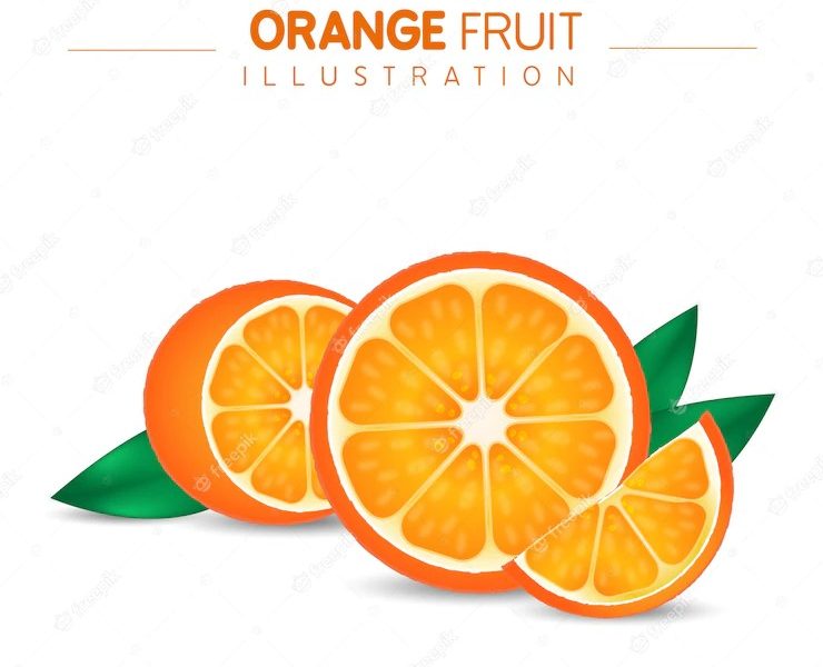 Orange fruit illustration Free Vector Orange fruit illustration Free Vector