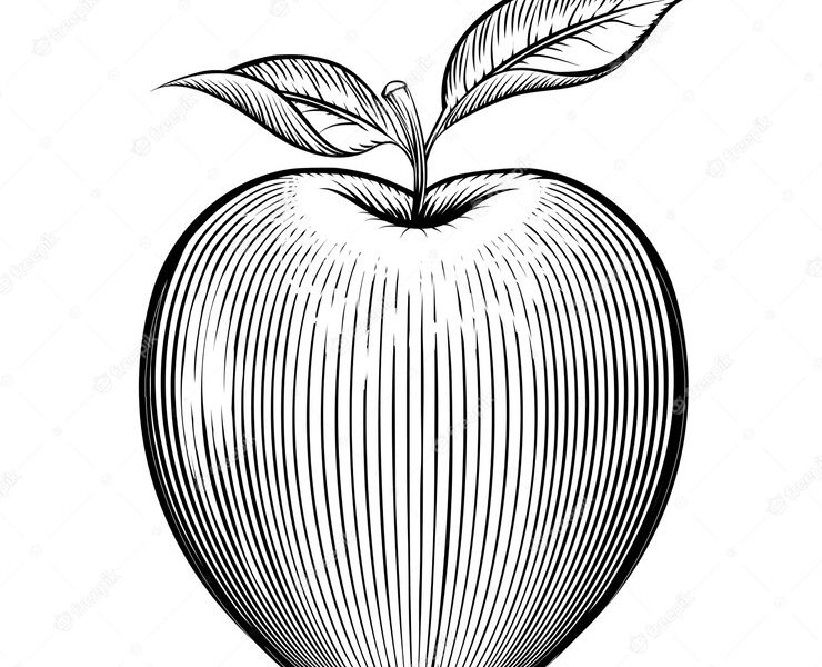 Engraving apple. vegetarian and nature, leaf and healthy. Free Vector