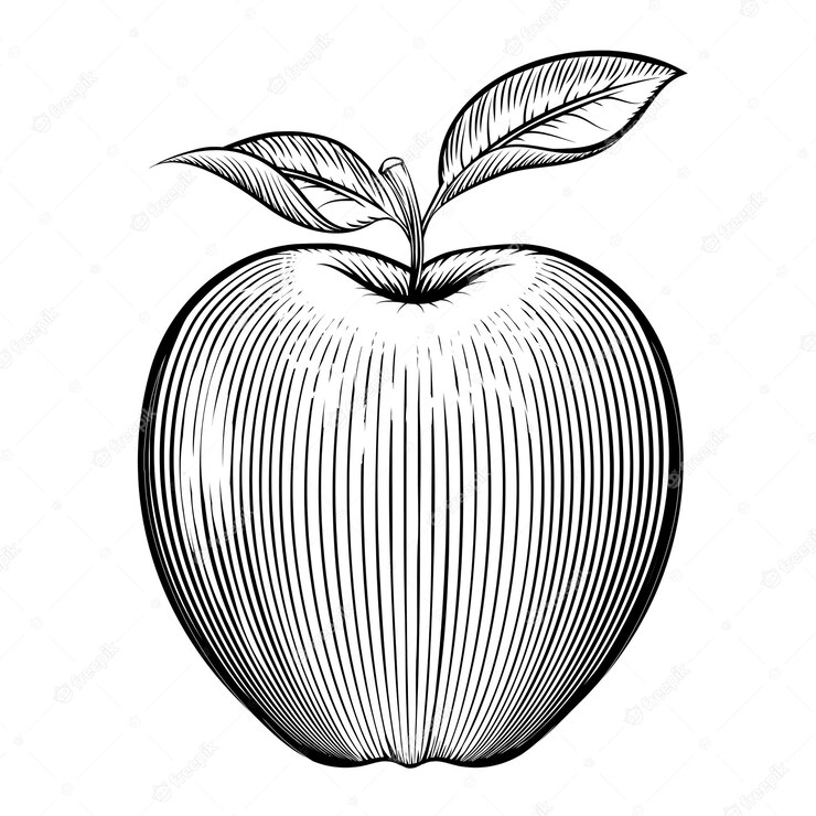 Engraving Apple Vegetarian Nature Leaf Healthy 1284 42128