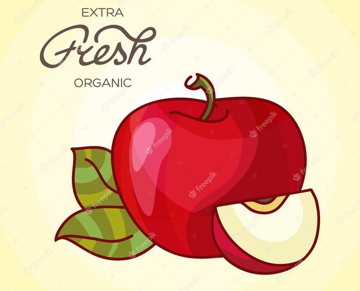 Illustration of detailed big shiny red apple Free Vector Illustration of detailed big shiny red apple Free Vector
