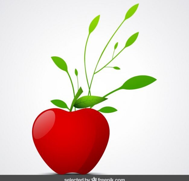 Isolated apple with ornaments Free Vector