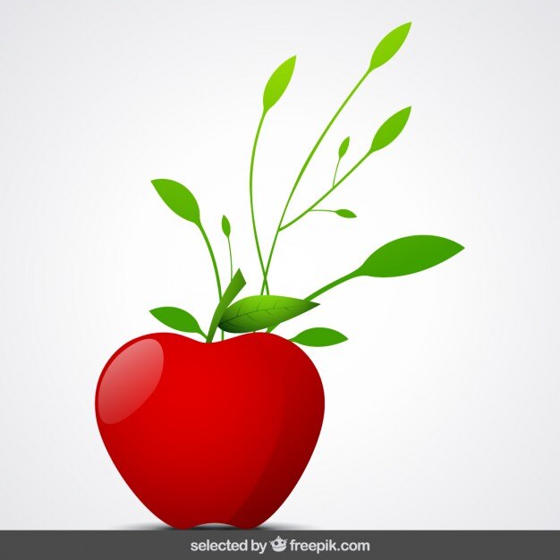 Isolated Apple With Ornaments 1017 394
