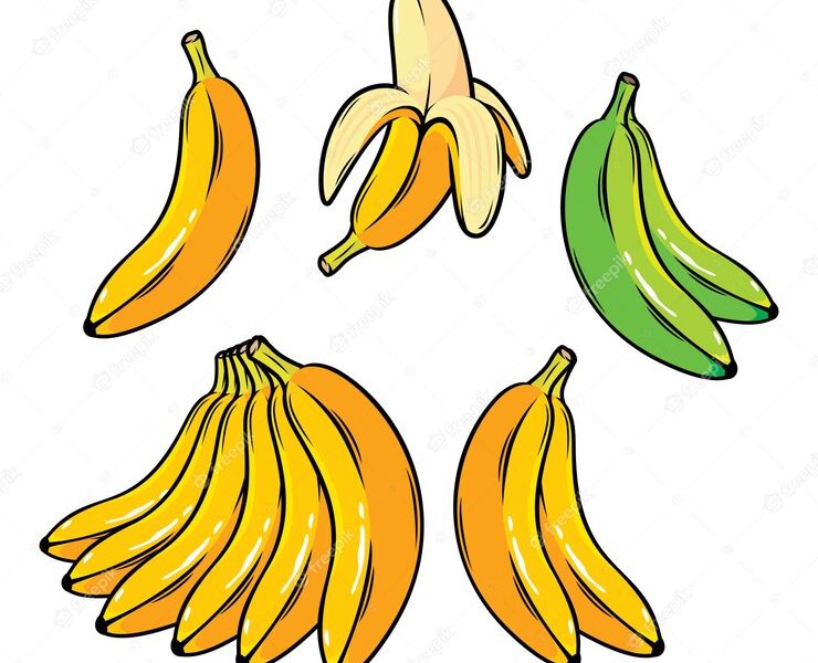 Vector Set Of Cartoon Yellow Bananas Overripe Banana Single Banana Peeled Banana Bunch Premium