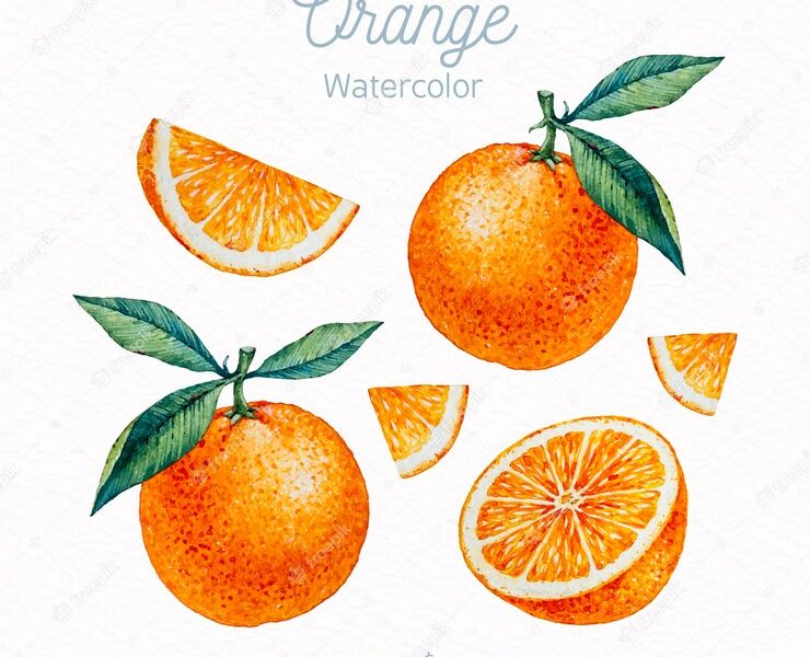 Watercolor orange set Free Vector