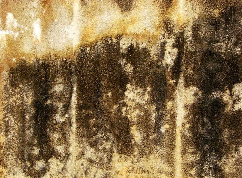 Dirty Wall texture free image download