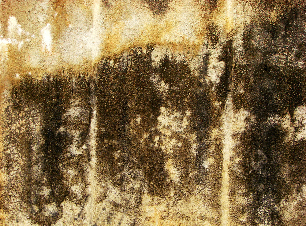 Dirty Wall By Alp Stock