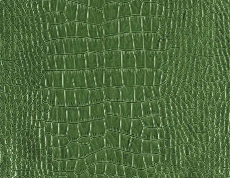 Green Free leather texture image download