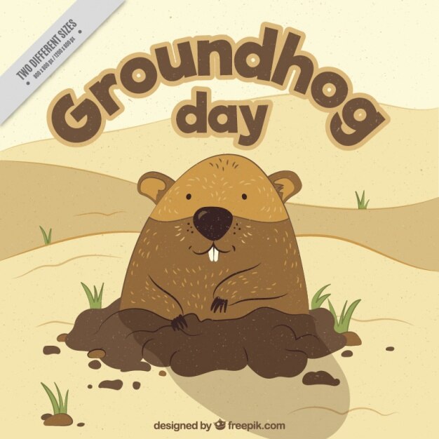 Background Nice Groundhog 23 2147594225