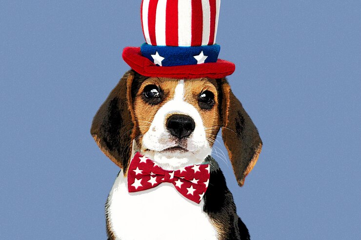 Beagle with hat in pop art style Free Photo