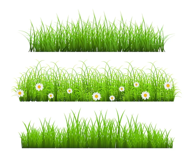 Collection of three realistic grass borders Free Vector