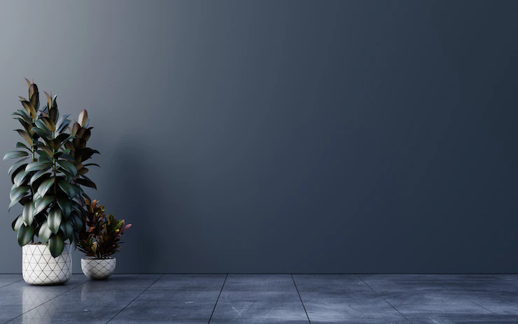 Dark Wall Empty Room With Plants Floor 3d Rendering 41470 3847