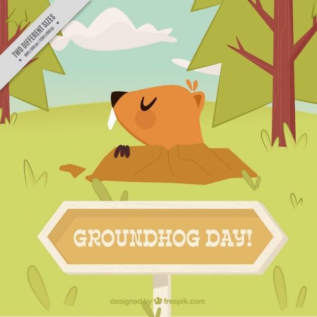 Flat Background With Groundhog Trees 23 2147597355