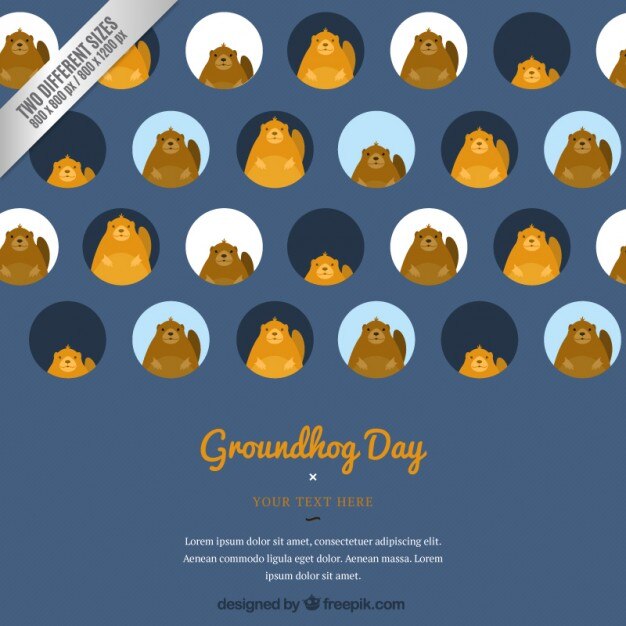 Funny Groundhog Day Background 23 2147533049