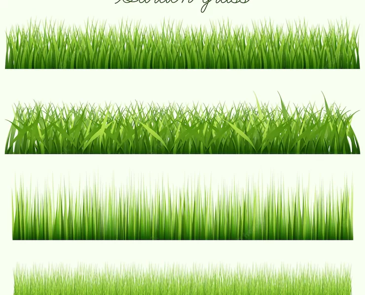 Garden grass collection Free Vector