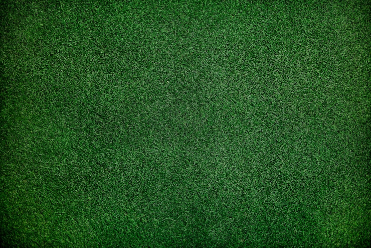 Green fake grass background Free Photo