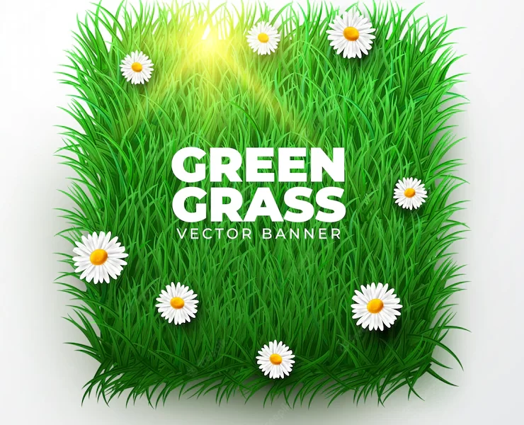 Green grass banner realistic style Free Vector