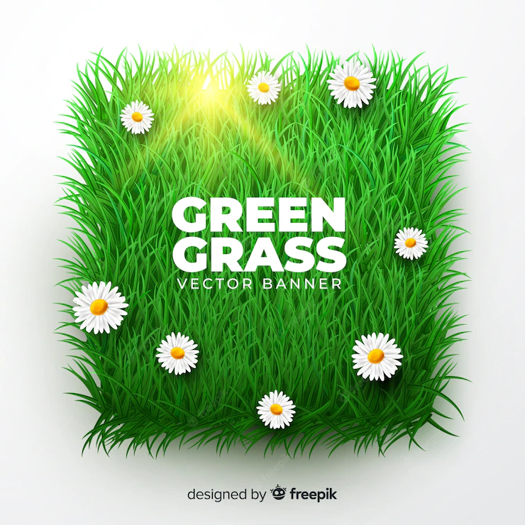 Green Grass Banner Realistic Style 52683 17045